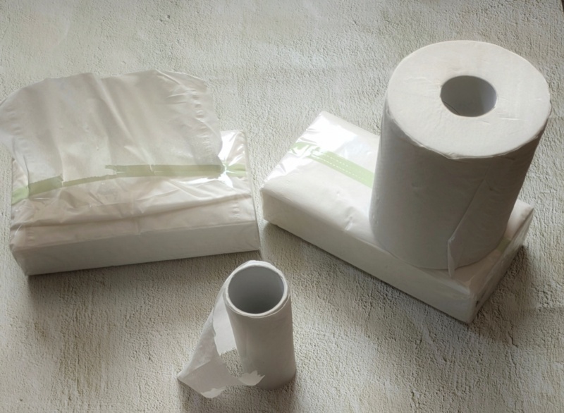 やむを得ずティッシュを流すときの注意点