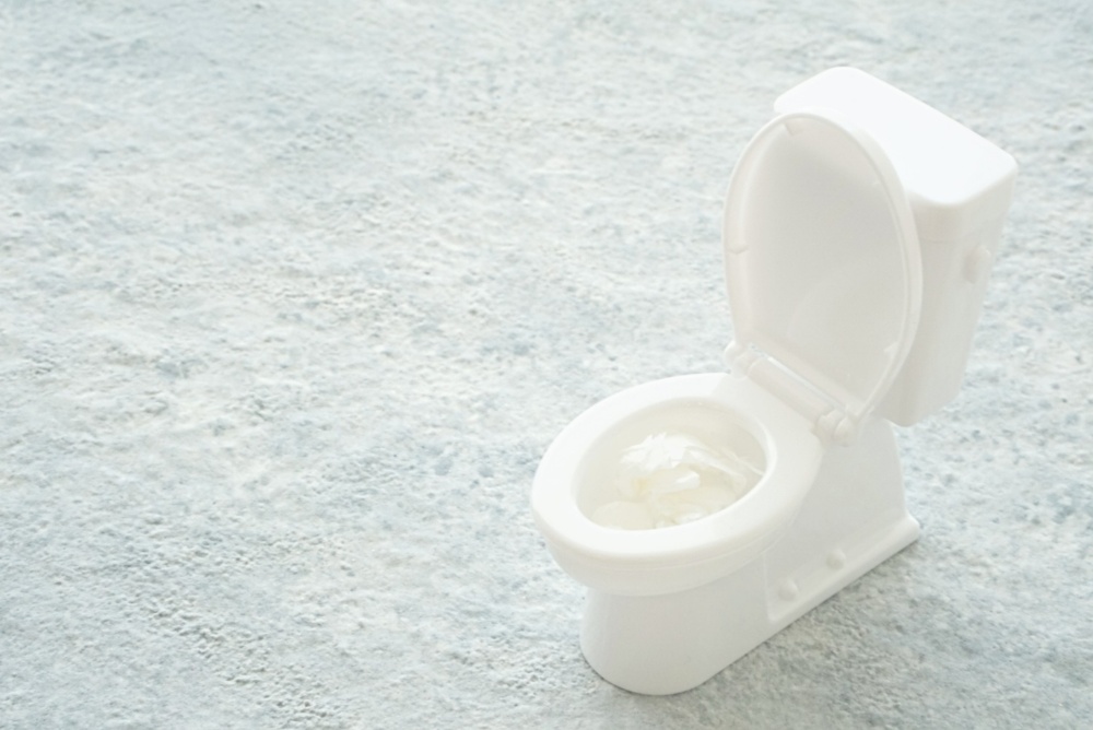 自分で解消できる・できないトイレつまりの原因