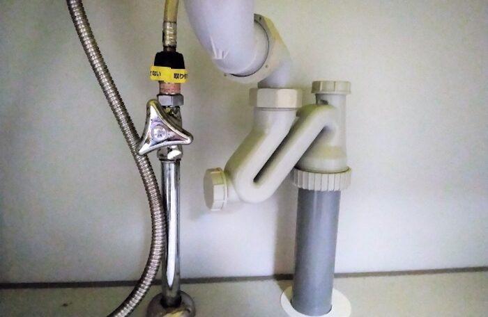 25549513 s e1674482440289