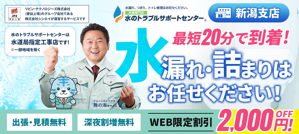 bnr nigata