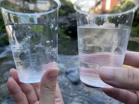 カタダイン ビーフリー　浄水前と浄水後