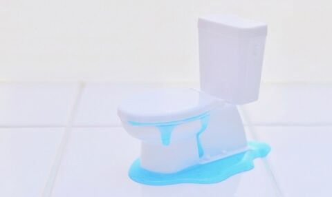 二階のトイレから水漏れが発生！原因と今すぐできる応急処置を紹介
