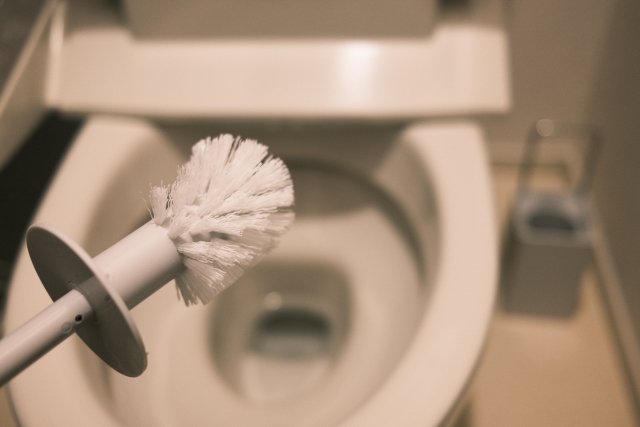 酸素系漂白剤ひとつでトイレ掃除にも
