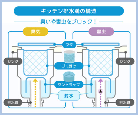 キッチンの排水溝はフタ・ゴミ受け・ワントラップというパーツがあり、臭いや害虫をブロックしている
