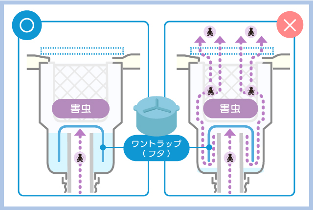 キッチンの排水溝はワントラップと封水によって、害虫が上がってくることも防いでくれる