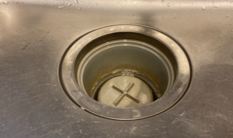 キッチンの排水溝に付着した白い塊