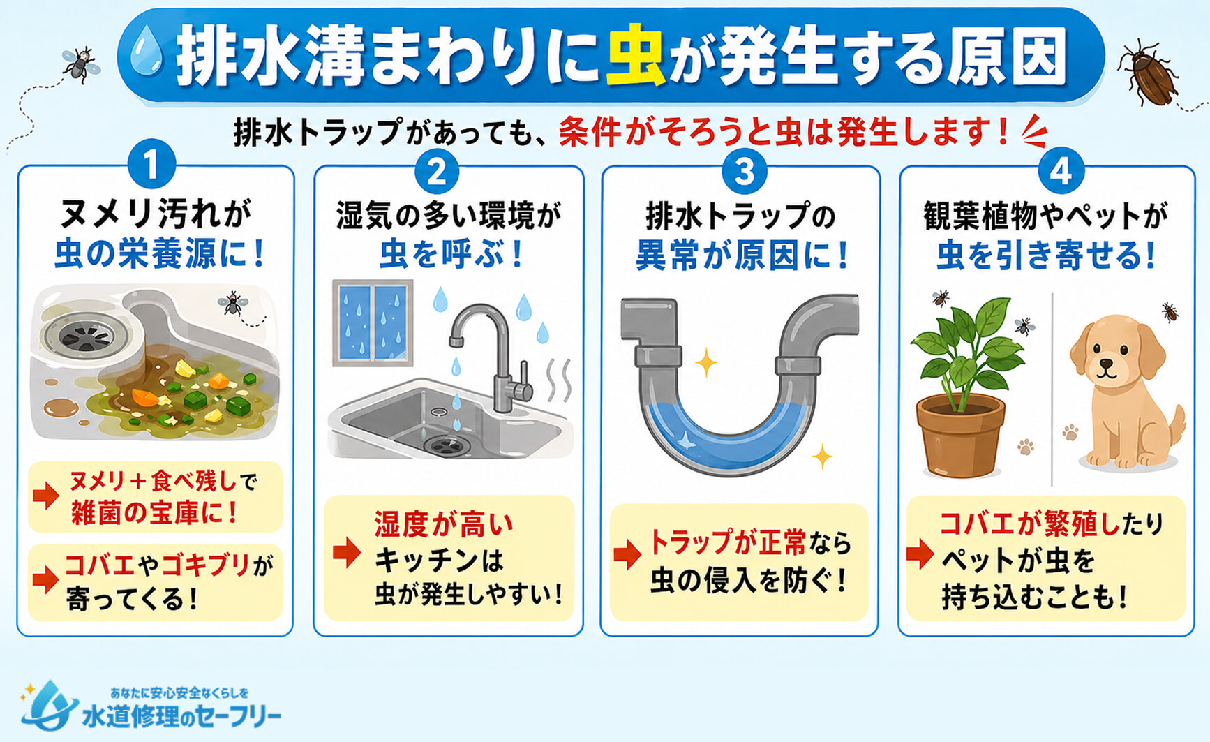 排水溝まわりに虫が発生する原因を解説