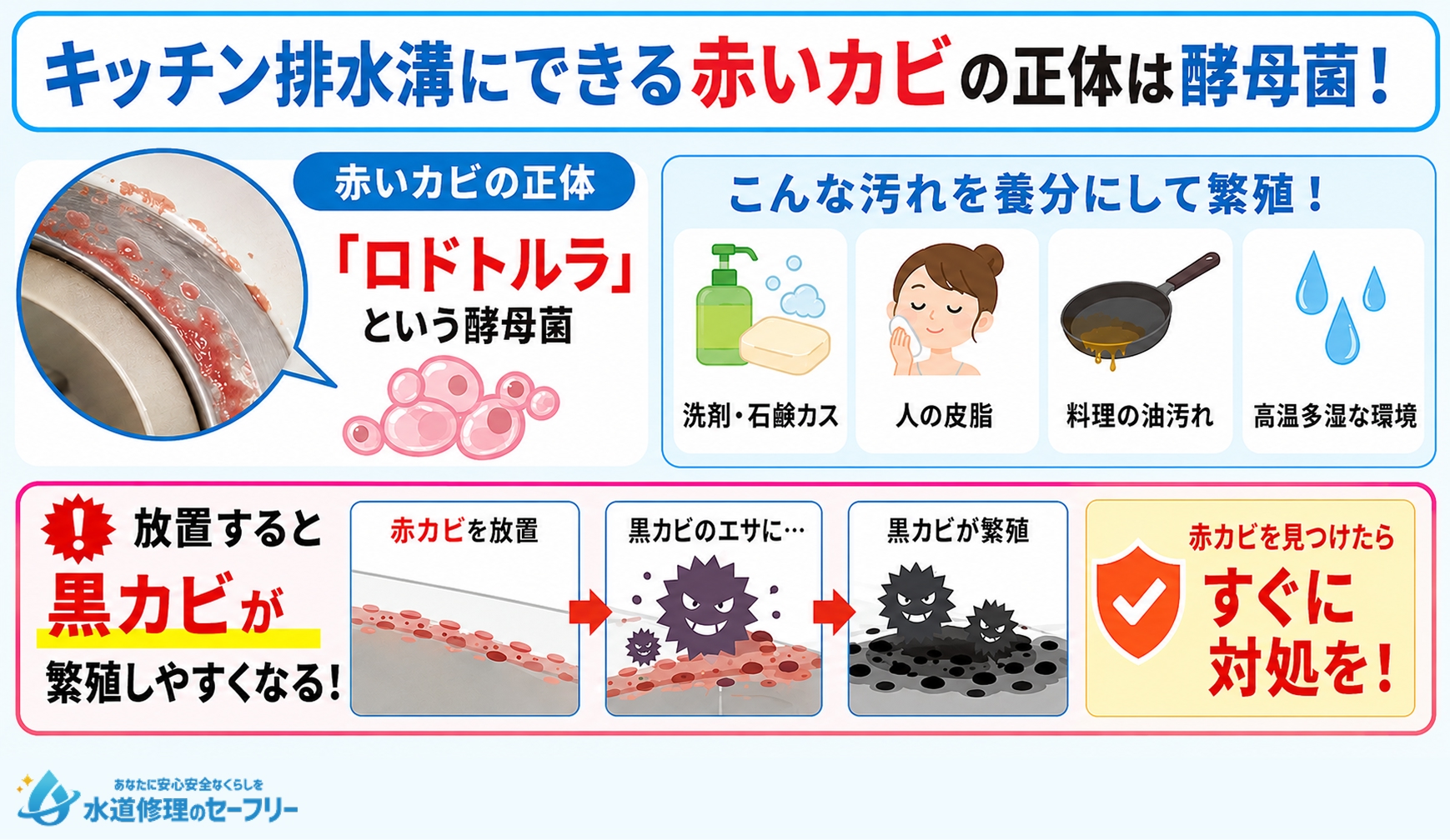 キッチン排水溝にできる赤いカビの正体は酵母菌!どんな菌か解説