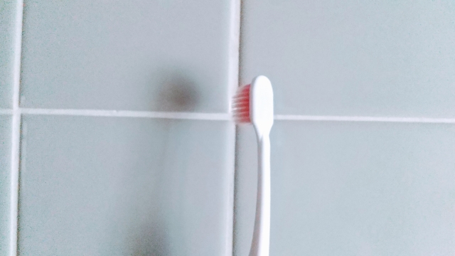 キッチンの壁にカビが生えているときの掃除方法