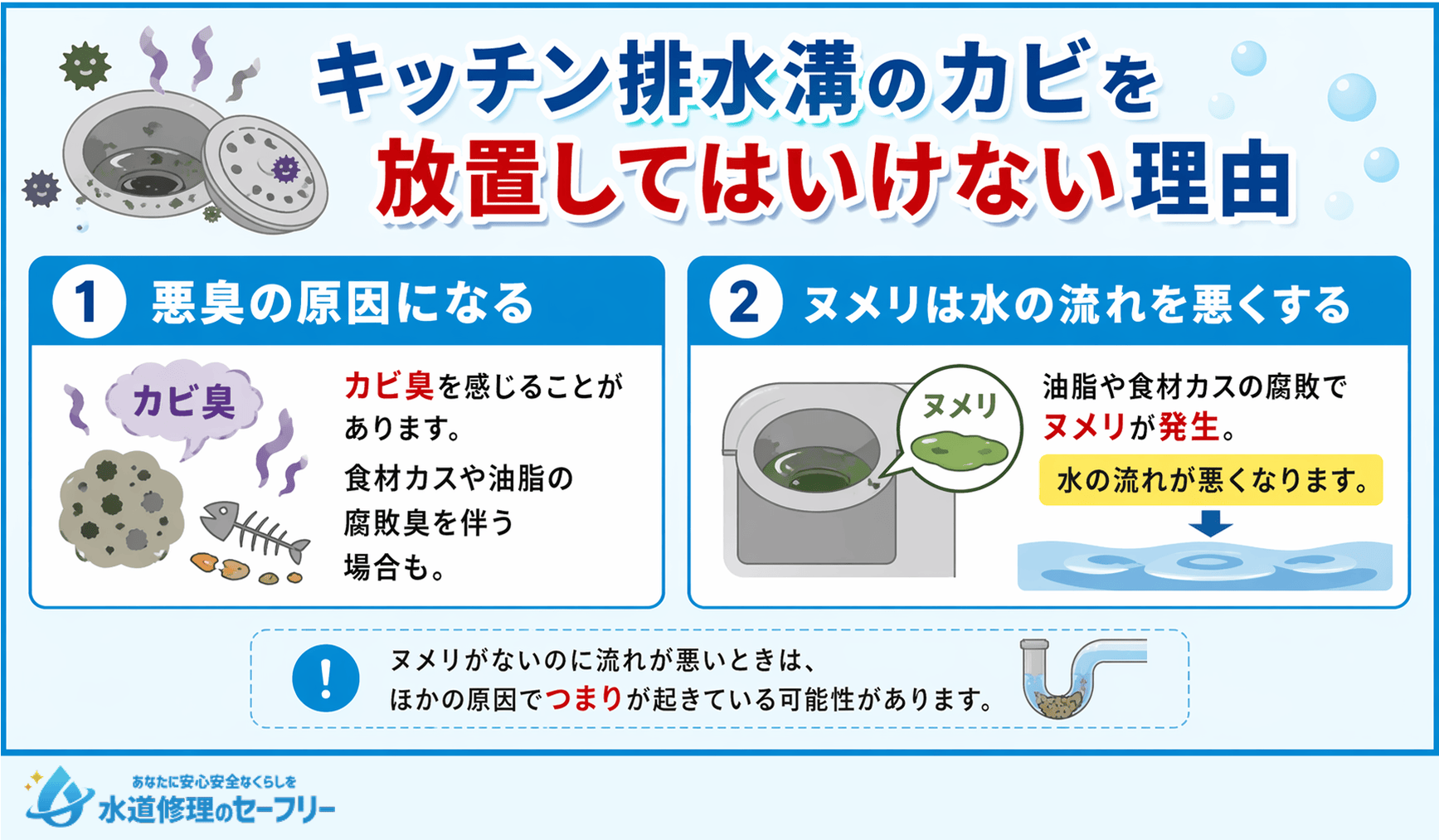 キッチン排水溝のカビを放置してはいけない理由を解説
