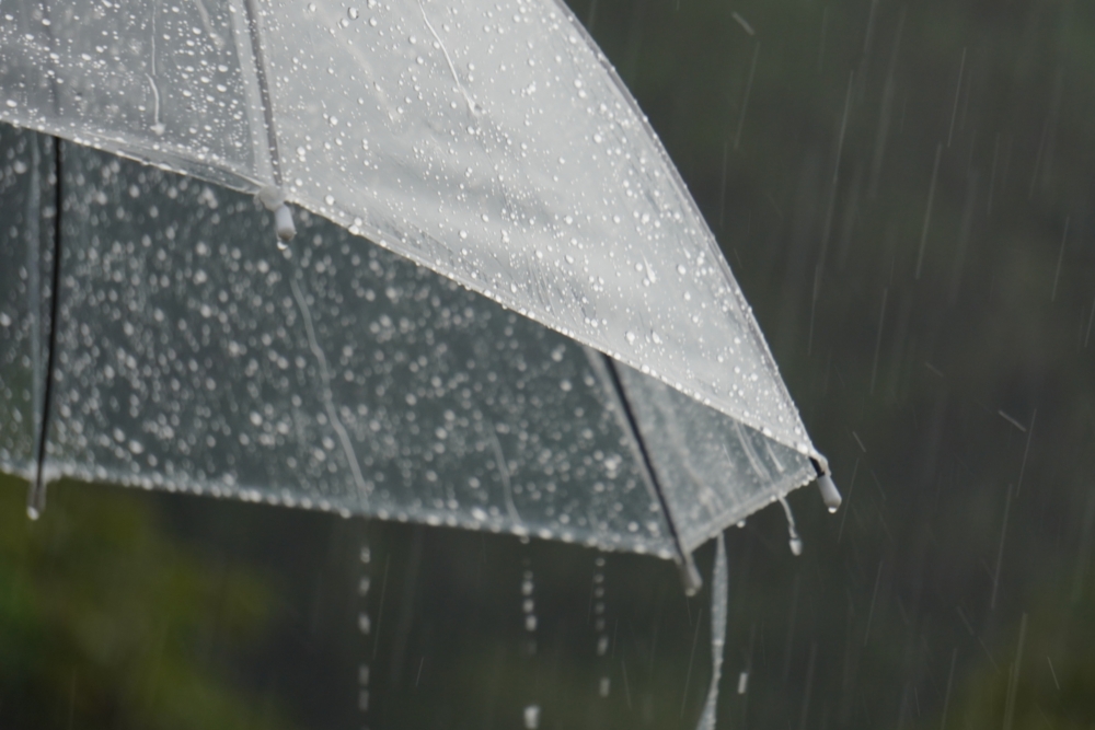 雨の日に下水の臭いが強くなる理由と対処法