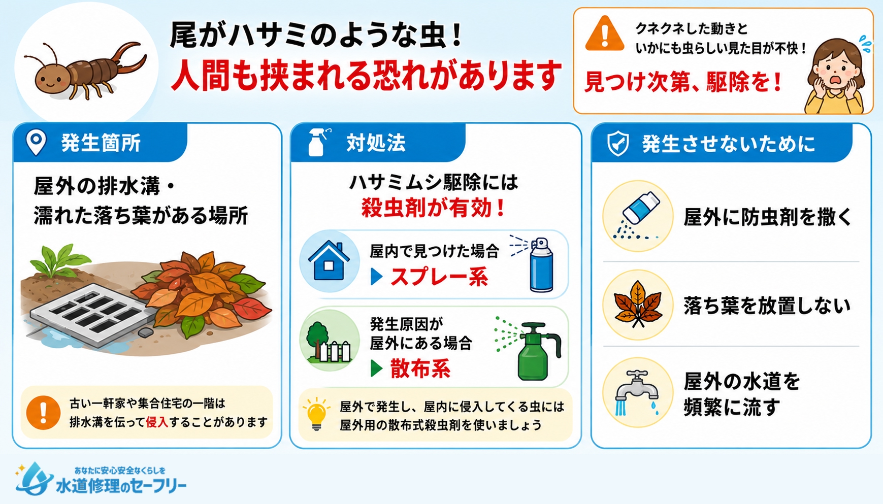 ハサミムシについて解説