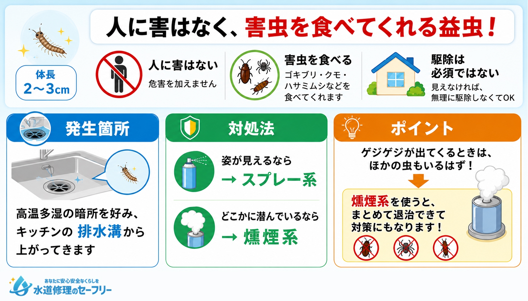 ゲジゲジについて解説