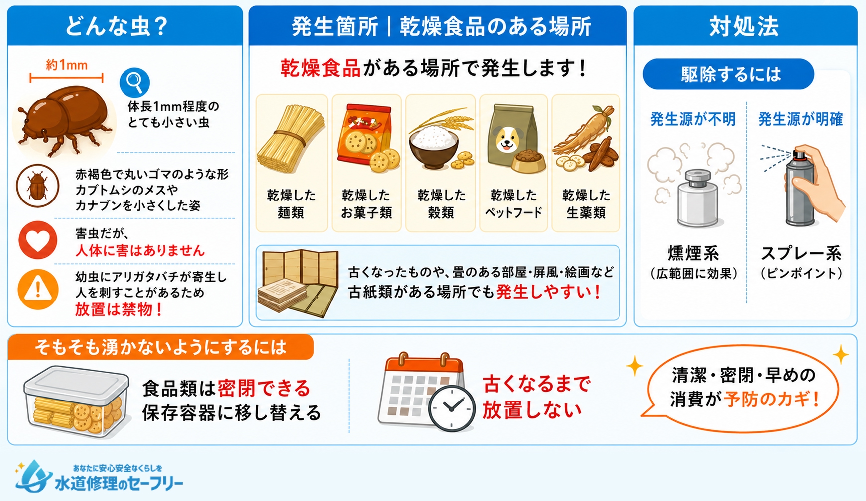 シバンムシについて解説