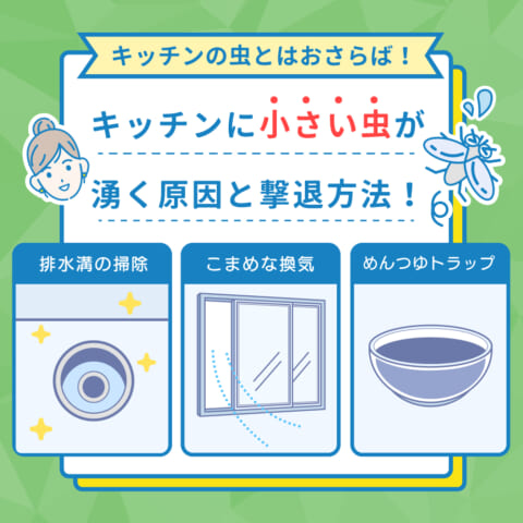 キッチンに沸く小さい虫の撃退法