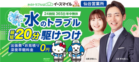 e75d5ee8584e4ddaa0c778c84dcb6b31