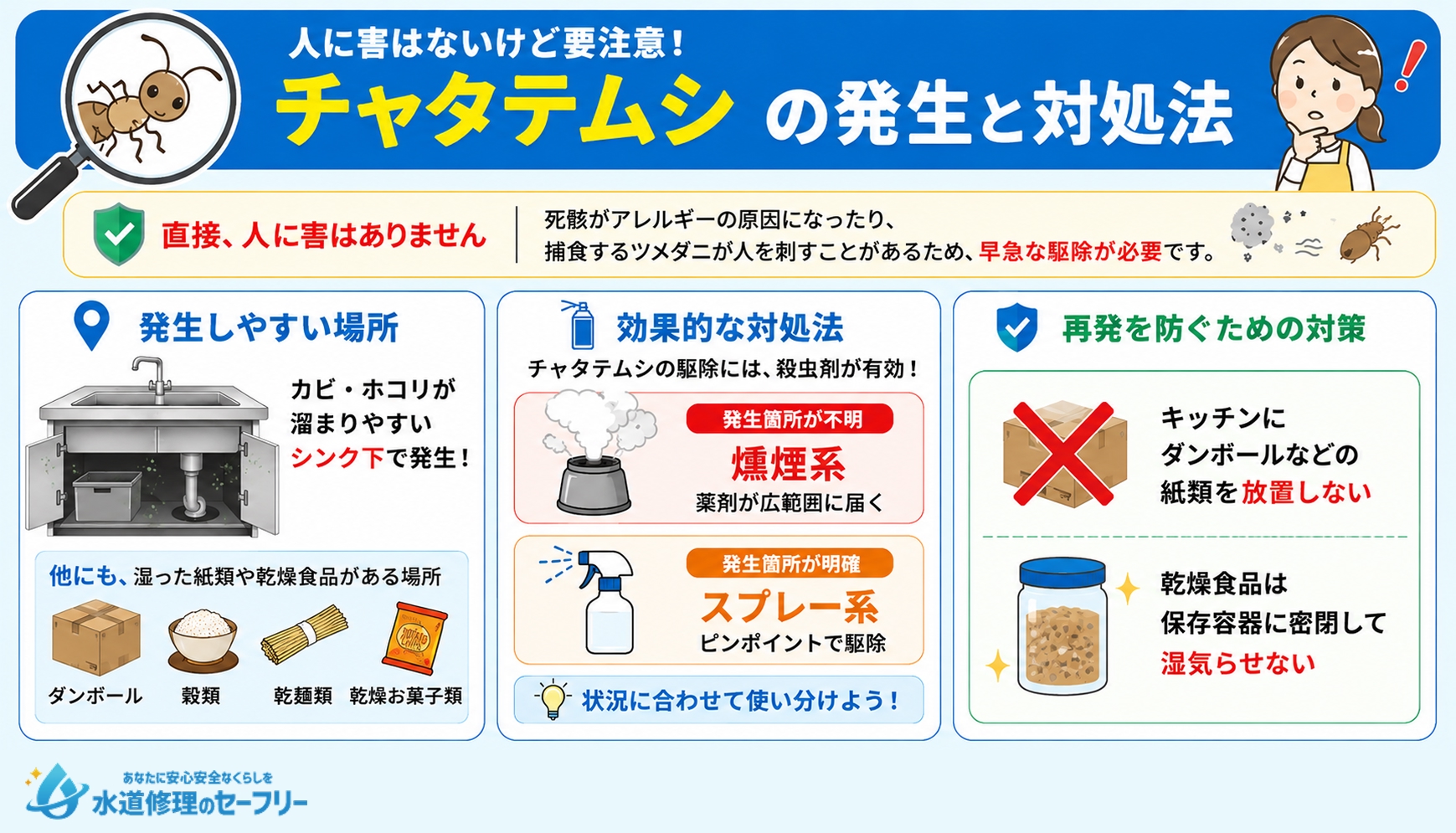 チャタテムシについて解説