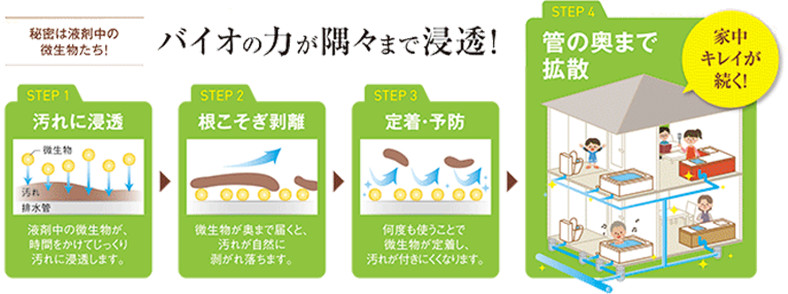 複数の微生物が含まれている