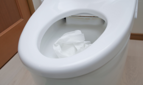 トイレつまりが治らないのはなぜ？よくある6つの原因と対処法を解説！
