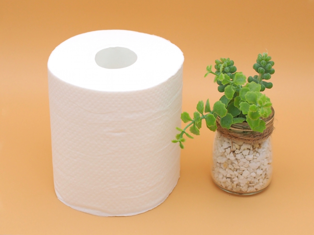 つまりにくいトイレットペーパーの選び方
