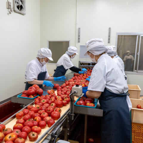 「ニㇱパの恋人」トマトジュースの魅力