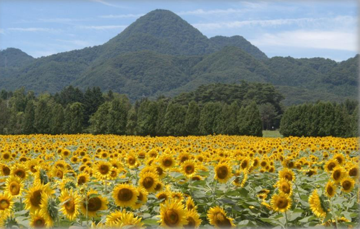 自然と歴史が織りなす風光明媚な矢巾町