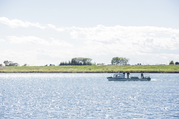 【千代田町ふるさと納税】上州牛100％手こねハンバーグで贅沢な食卓を