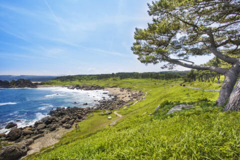 県内有数の大都市「八戸市」の魅力