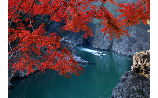 自然と歴史に囲まれた新宮市