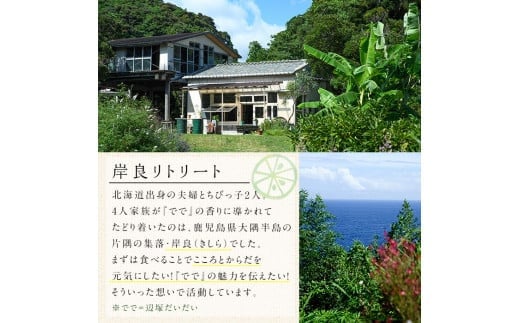 料理を引き立てる「岸良の塩」の魅力