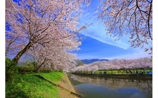 九州のど真ん中！宇土市の魅力