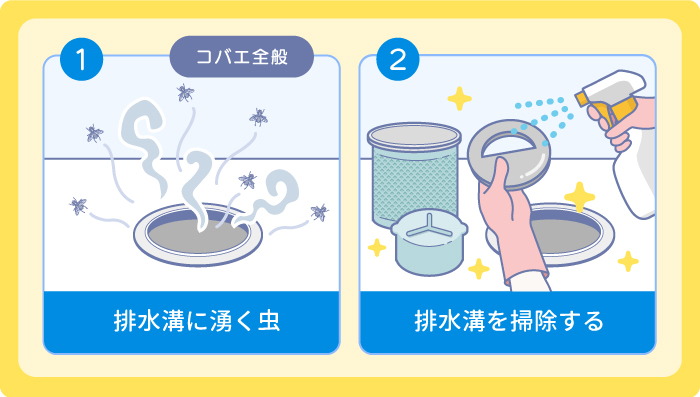 排水溝:コバエ全般
