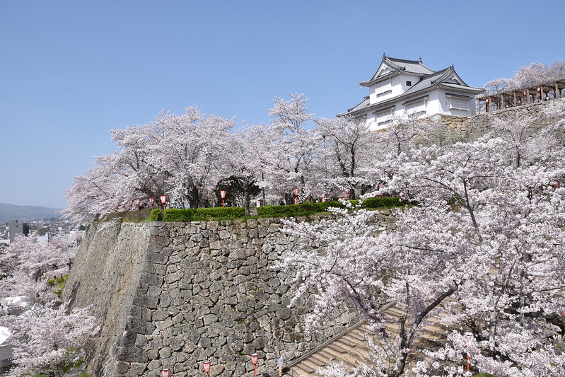 津山城早朝の桜_278 撮影者：津山市 撮影年月日：2021年3月31日 著… | Flickr