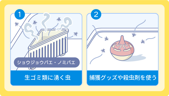 生ゴミ類:ショウジョウバエ・ノミバエ