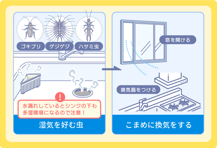 湿気:ゴキブリ・ゲジゲジ・ハサミ虫