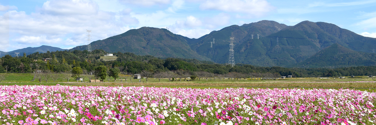歴史と自然が織りなす、日野町の魅力