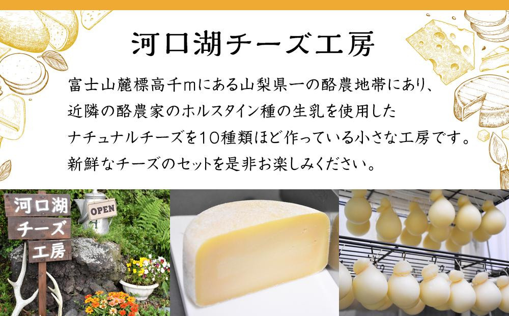 コク深い味わい！「河口湖チーズ工房】訳ありお任せセット」の魅力
