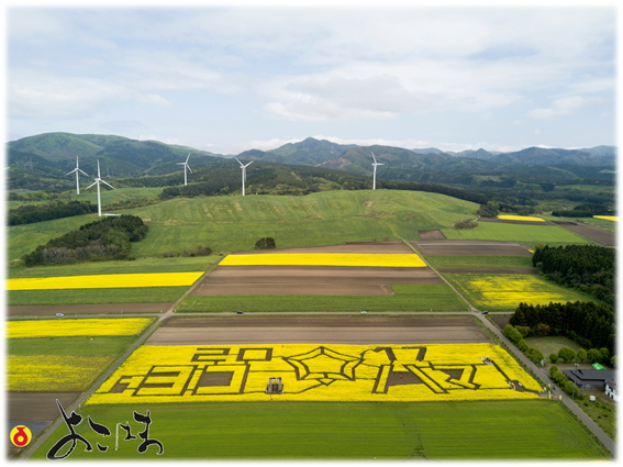 自然あふれる横浜町の魅力とは？
