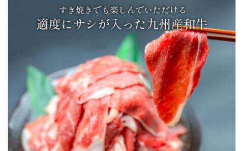 「牛肉 訳あり 日本ハム 九州産」の魅力