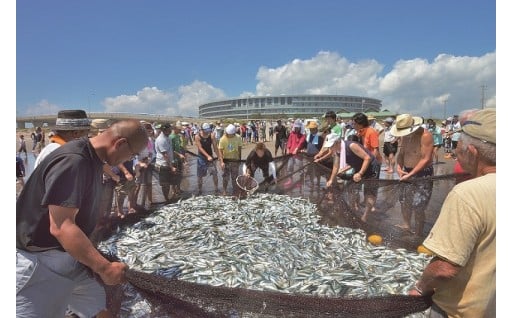 雄大な自然が広がる千葉県九十九里町
