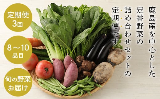 旬の美味しさを詰め込んだ「おまかせ野菜BOX」の特徴とは？