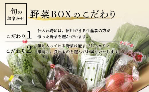 忙しい毎日に嬉しい！「おまかせ野菜BOX」の魅力とは？