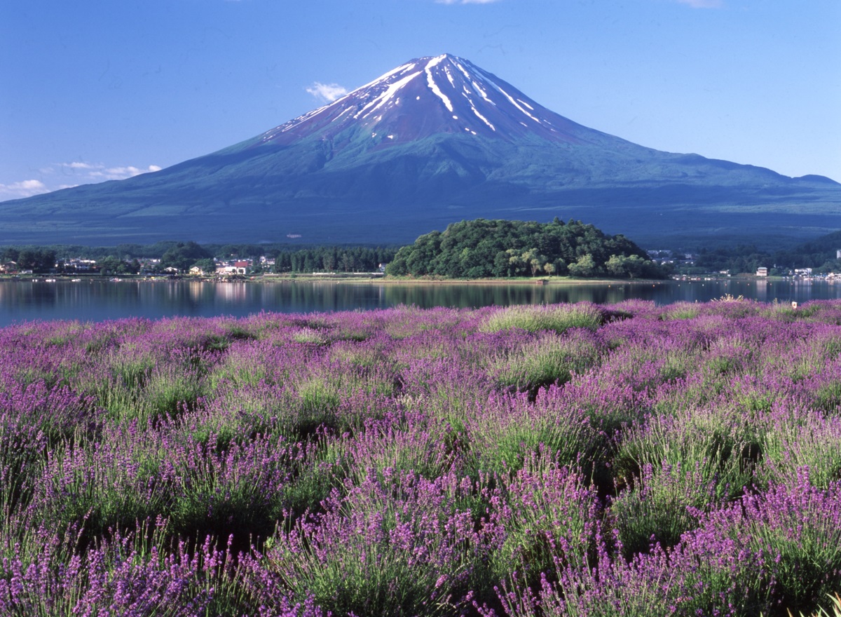 美しい富士の山が望める富士河口湖町の魅力
