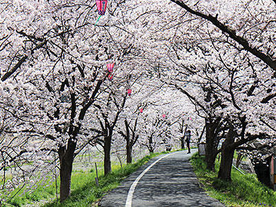井原市でゆったりとした時間を過ごそう