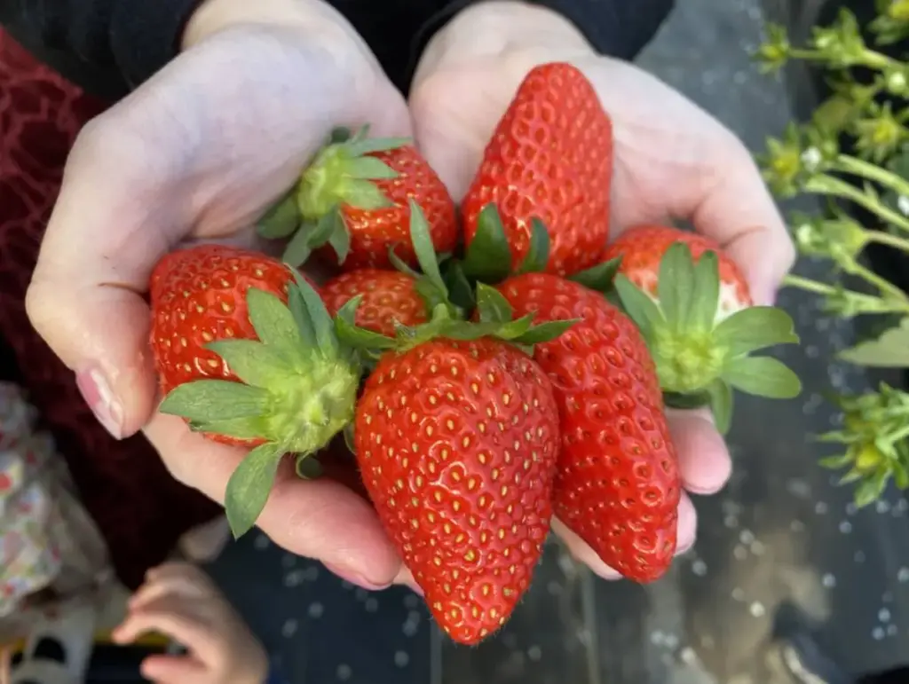 三重県津市でゆったり楽しく過ごそう