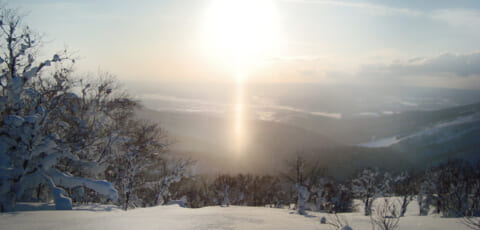 四季折々の自然を楽しめる「北海道名寄市」の魅力