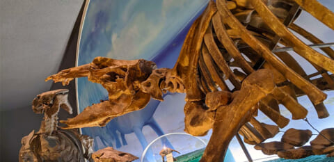 自然豊かな「岐阜県瑞浪市」の魅力