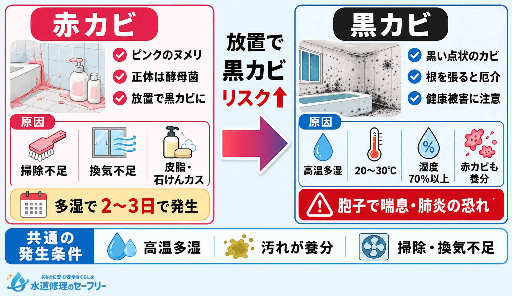 予防前に要チェック!お風呂にできるカビの種類と原因を解説