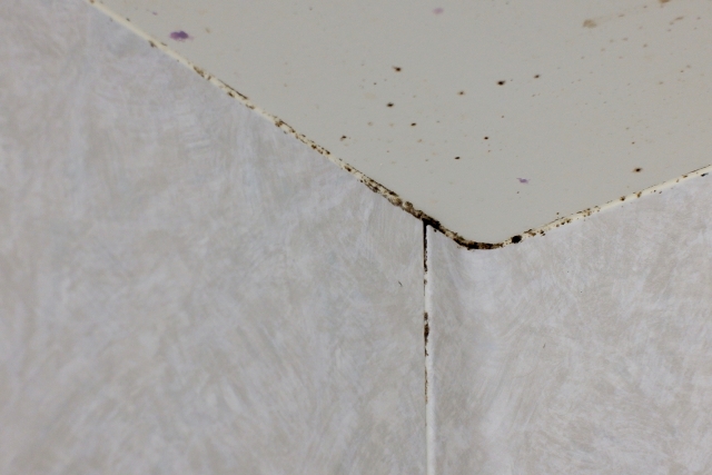 お風呂天井のやっかいなカビ
