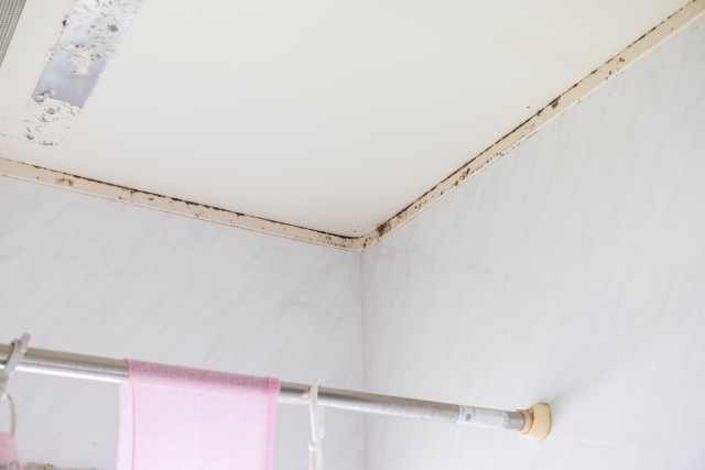 お風呂天井のカビ取り方法